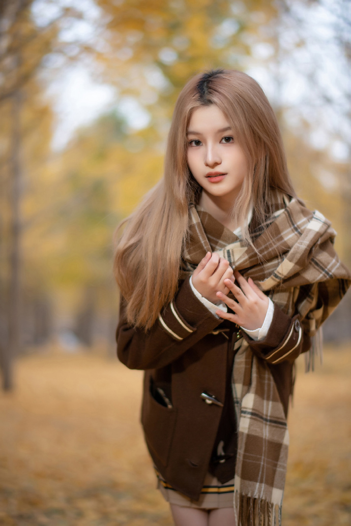 莲花楼 封面