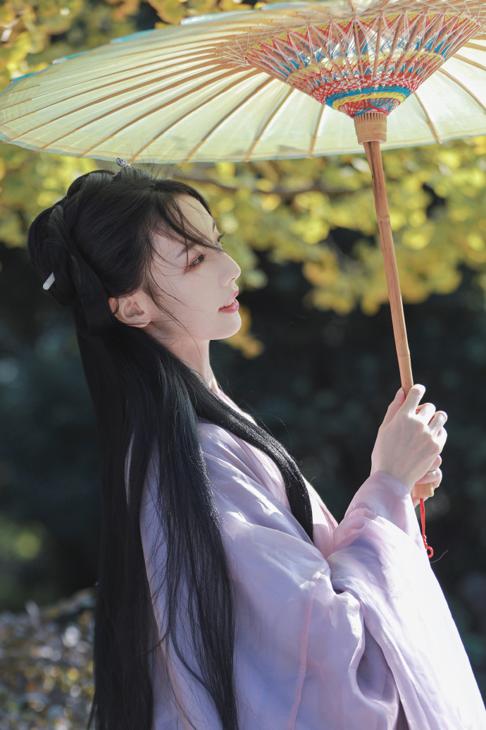 甄嬛传 封面