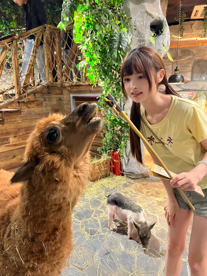 闪电侠 封面